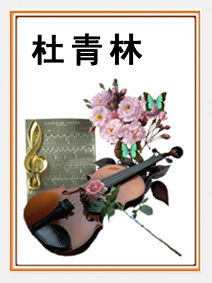 杜青林